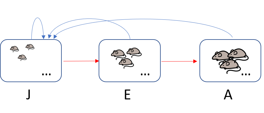 M&auml;usepopulation